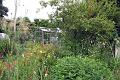 Allotments 6